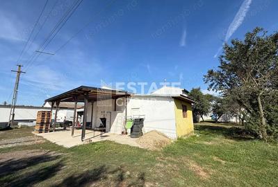 Spațiu comercial, de 700 mp, în Bucovăț (Remetea Mare) - 8