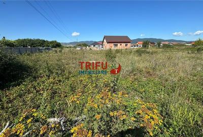 Teren intravilan 500 mp în cartierul Partoș - 3