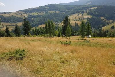 Teren Construcții extravilan de 7200 mp, în Arieșeni - 7