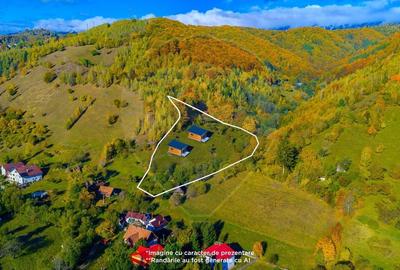 COMISION 0% Teren 11,381 mp Moieciu de Jos / Oportunitate unica - 3
