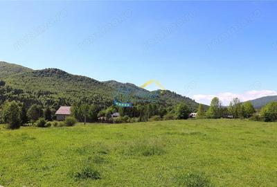 Casă cu Teren 400 Mp în Valea Doftanei