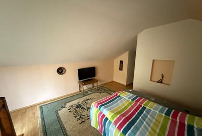 Casa cu garaj ?i 2 ?eminee, langa Parcul Mare Str. - 3