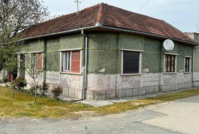 Casă cu 3 camere cu Teren 1500 Mp în Criciova - 5