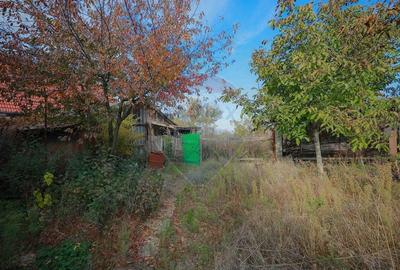 De vanzare casa cu teren de 3036 mp in Bors - 17