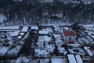 Casa de vanzare in Buzia? teren generos 1900 mp, toate utilita?ile - 3