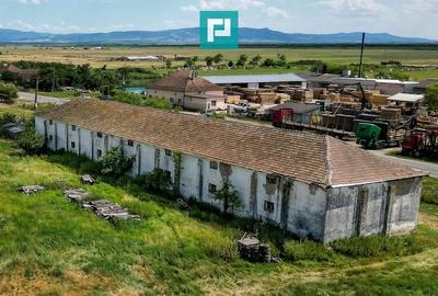 Hală industrială cu teren generos în Zărand, Arad - 6