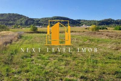 Teren Comuna Micesti, sat Purcareni - 3