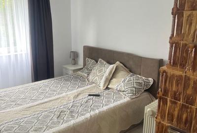 Casă cu 2 camere în Singureni - 2