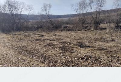 Teren de 1400 mp, în Sânmărtin - 5