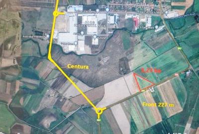 Teren de 32300 mp, în Sud - 1