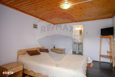 Spațiu comercial, de 600 mp, în Trăisteni - 11