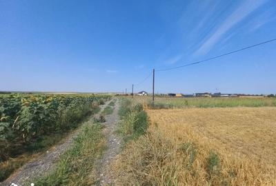 Teren de 580 mp, în Agigea