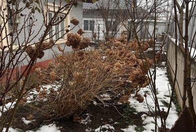 Casă cu 4 camere cu Teren 90 Mp în Central - 6