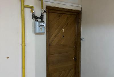 Apartament 2 camere Spiru Haret Ciucurette - 3