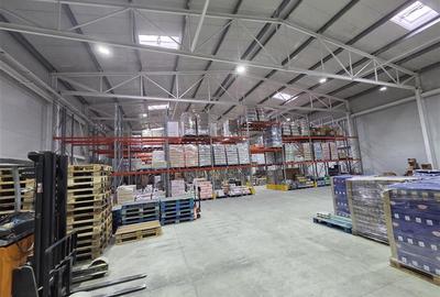 Spațiu industrial, de 2,850 mp, în Central - 32