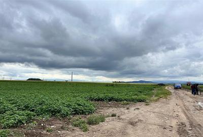 Teren extravilan 13200 mp.zona de case Sacele pretabil investitie!! - 7