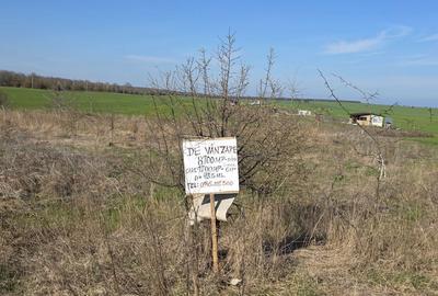 Teren de 8700 mp, în Exterior Vest - 2