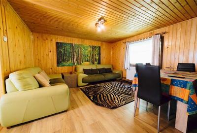 Casa de vacanta (Borzont, jud. Harghita) - 6