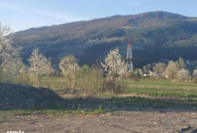 Spațiu comercial, în Straja - 1