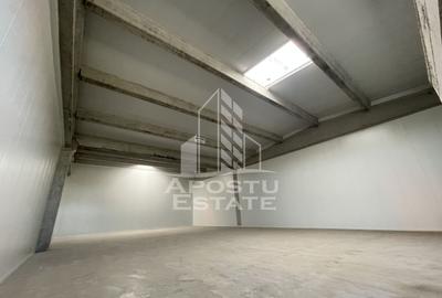Spațiu industrial, de 523 mp, în Sânandrei