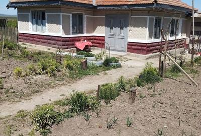 Casă cu 4 camere în Bărzila - 3