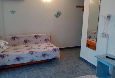 Casă cu 5 camere cu Teren 300 Mp în Central - 5