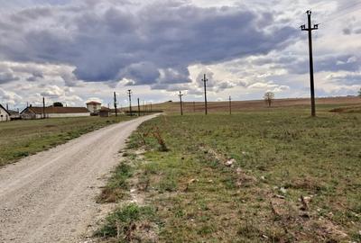 Teren Construcții intravilan de 10000 mp, în Murighiol