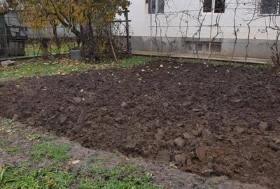 Casă cu 4 camere cu Teren 1850 Mp în Sitaru - 1