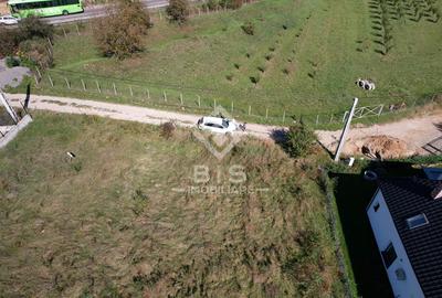 Teren Construcții intravilan de 2500 mp, în Viișoara - 3