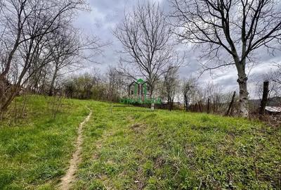 Teren 1260 mp/Pausesti Maglasi/Intravilan - 4