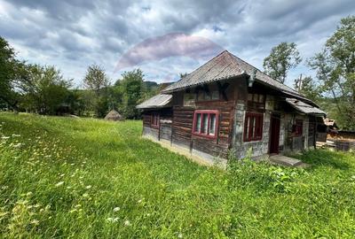 Casa / Vila cu 4 camere de vanzare in zona Est Casa / Vila cu 4 camere de vanzare in zona Est - 3