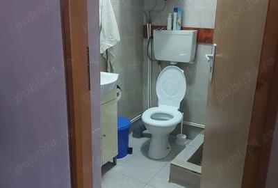 Casa tip cabana cu livada jud Alba - 2
