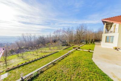 VILA DE VIS CU TEREN GENEROS, DE VANZARE - 40