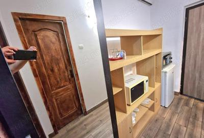Inchiriere apartament zona ULTIMUL LEU - 1