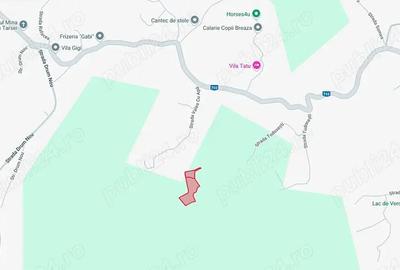 Teren intravilan 6.376 mp, Breaza, Valea Tarsei, ideal pentru pensiune sau casa de vacan?a. Teren intravilan 6.376 mp, Breaza, Valea Tarsei, ideal pentru pensiune sau casa de vacan?a. - 2