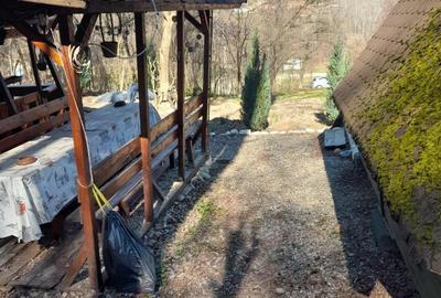 Teren Construcții intravilan de 1050 mp, în Pietrari (Păușești-Măglași) - 2