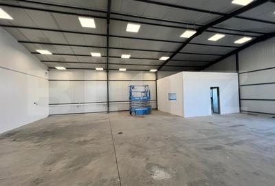 Hala 290,6 mp si 1263 mp teren, zona Carcea - 8