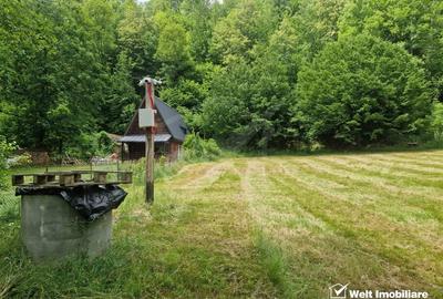 Teren plat, autorizatie de constructie+proiect  pe Valea Somesului Cald - 2