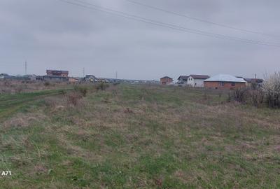 Teren Construcții intravilan de 5808 mp, în Săbăreni - 7