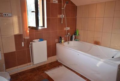 Proprietate de inchiriat: casa Parter + Etaj, Bucium - 23