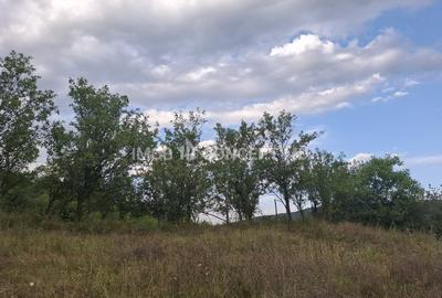 Teren spectaculos cu padure, livada si priveliste panoramica in Soimari PH - 20