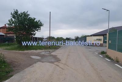 Lot teren Balotesti,langa case noi-50 m de asfalt 600mp - 13
