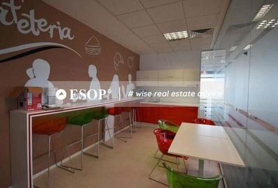 Euro Tower, Barbu Vacarescu, 220 - 3790 mp 0% comision! - 7