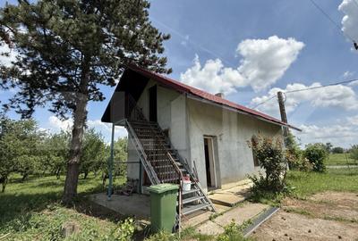 Teren de 37620 mp, în Vetiș - 12