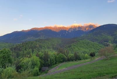 Teren Construcții intravilan de 500 mp, în Bran - 1