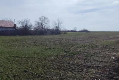 Teren de 15500 mp, în Dascălu - 6