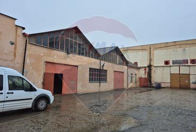 Spațiu comercial, de 450 mp, în Sânnicolau Mic