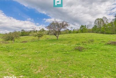 Casă cu 2 camere cu Teren 17681 Mp în Almaș - 14
