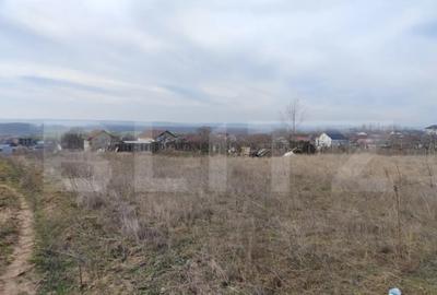 Teren în Malu Mare - 5