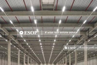 WDP Industrial Park Aricestii Rahtivani, hale, 3.000 - 65.000mp WDP Industrial Park Aricestii Rahtivani, hale, 3.000 - 65.000mp - 2